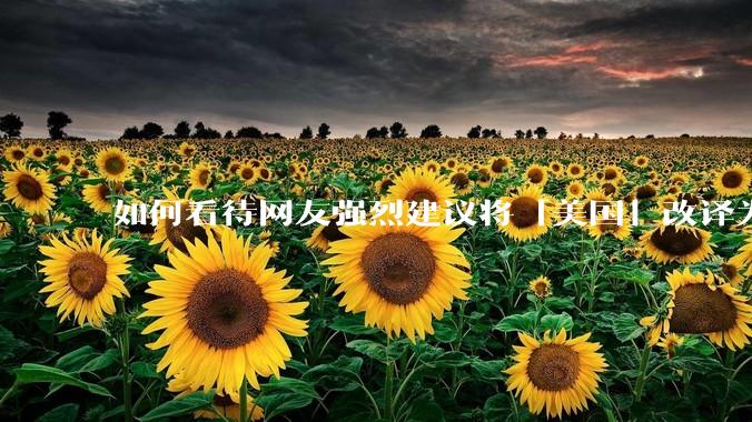 如何看待网友强烈建议将「美国」改译为「米国」？